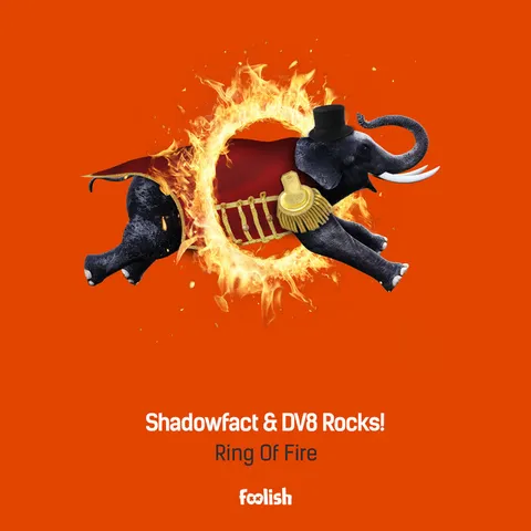 ShadowFact - Hardstyle artist photo