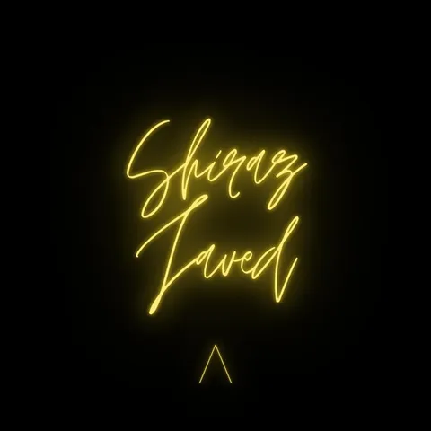 Shiraz Javed - Hardstyle artist photo