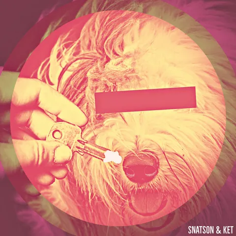 Snatson & Ket - Hardcore artist photo