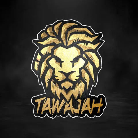 Tawajah - Frenchcore artist photo