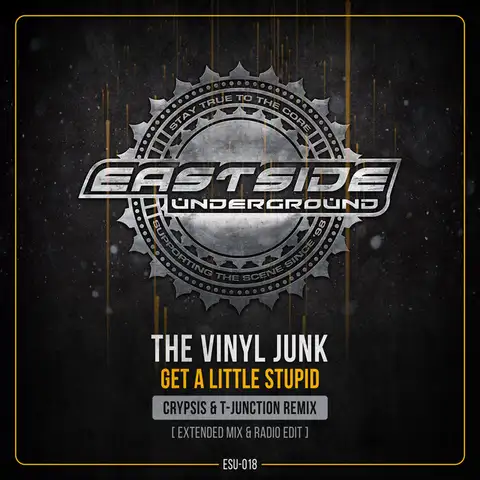 the Vinyl Junk - Hardcore artist photo