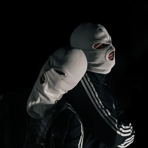 The Whistlers - Frenchcore artist photo