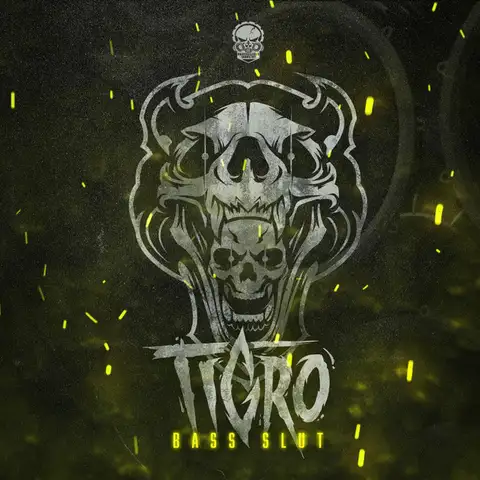 Tigro - Frenchcore artist photo
