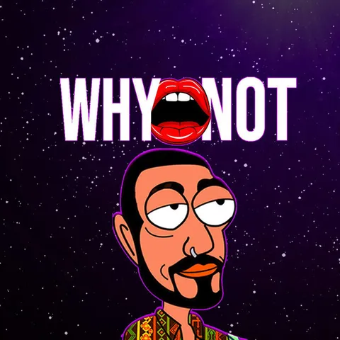 Why Not - Frenchcore artist photo