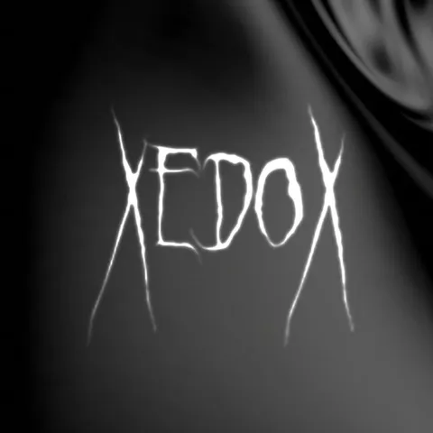 XEDOX - Gabber artist photo