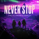 Never Stop by 2 Brothers Of Hardstyle, 8 Ball - Hardstyle cover art