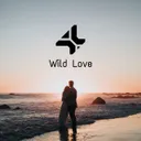 Wild Love by 4* - Hardstyle cover art