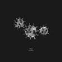 Miasma by 753 - Hard Techno cover art