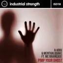 Pimp Your Ghost by A-Kriv, Menthalquake, MC Braincase - Frenchcore cover art