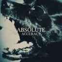 Cover of Absolute Accuracy
