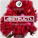 Echoes of the Lost by AbstructA - Hardstyle cover art