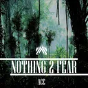 Nothing 2 Fear by Ace - Rawstyle cover art