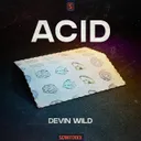 Cover of ACID (Outro)
