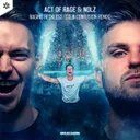 Raging Reckless - Cold Confusion Remix by Act of Rage, Nolz, Cold Confusion - Rawstyle cover art