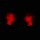 Requiem (Rework) by AEREA - Hard Techno cover art