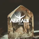 Bring It Back by Aerials - Hardstyle cover art