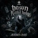 Down The Rabbit Hole by Aerobey, RVBS - Hardstyle cover art