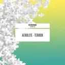 Terror - Original Mix by Aerolite - Hardstyle cover art