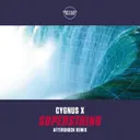 Superstring - Aftershock Extended Remix by Aftershock, Cygnus X - Rawstyle cover art