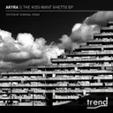 Liar - System of Survival Remix by Akyra, System Of Survival - Hardstyle cover art