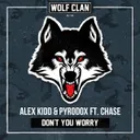 Don't You Worry - Radio Version by Alex Kidd, Pyrodox, Chase - Hardstyle cover art