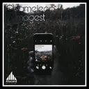 Chameleon by Almagest! - Hardstyle cover art