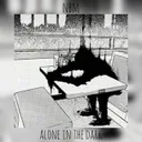 Cover of alone in the dark