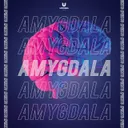 Cover of Amygdala