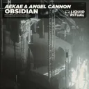 Obsidian by ANGEL CANNON, Aekae - Hard Techno cover art