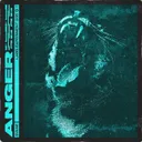 Cover of Anger
