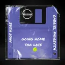 Going Home Too Late - Original Mix by AnGy KoRe, Gabriel Padrevita - Hard Techno cover art