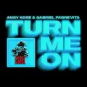 Turn me on - Original Mix by AnGy KoRe, Gabriel Padrevita - Hard Techno cover art