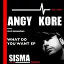 What Do You Want (Dataminions Remix) by AnGy KoRe - Hard Techno cover art