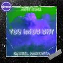You know why - Original Mix by AnGy KoRe, Gabriel Padrevita - Hard Techno cover art