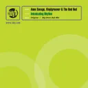Intoxicating Rhythm - Big Drum Dub Edit by Anne Savage, Vinylgroover, The Red Hed - Happy Hardcore cover art