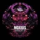 TOXIC TRAITS by ANOLUXX, Moxius - Hard Techno cover art