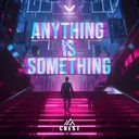 Cover of Anything Is Something