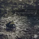 Cover of Apiformes