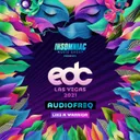 LIKE A WARRIOR by Audiofreq - Hardstyle cover art