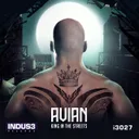 King in the Streets by Avian - Rawstyle cover art