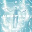 Already Knew by Azulo - Hard Techno cover art