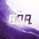 Cover of B.O.R.