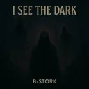 I See the Dark - Extended Mix by B-Stork - Hardstyle cover art