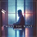 What You Want - Radio Mix by B-Stork - Hardstyle cover art