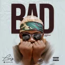 Cover of Bad