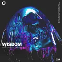Wisdom by BALLUK, Nandex - Hardstyle cover art