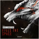 Fills The Space - Radio Edit by Bass Chaserz - Rawstyle cover art