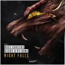 Night Falls - Original Mix by Bass Chaserz, Degos & Re-Done - Rawstyle cover art