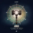 Synergy Of Souls (Primal Outdoor 2017 Anthem) - Radio Edit by Bass Chaserz - Hardstyle cover art