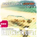 Falling in Love - Slin Project & Rene de la Mone Remix by Basslovers United, L.I.M., Slin Project, Rene de la Mone - Hardstyle cover art